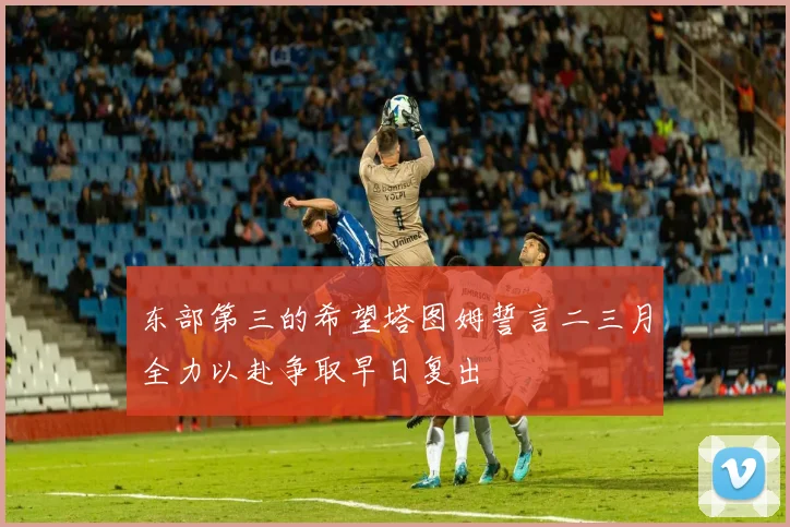 东部第三的希望塔图姆誓言二三月全力以赴争取早日复出